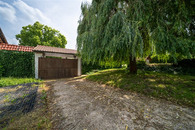 příjezd k domu [11/56]