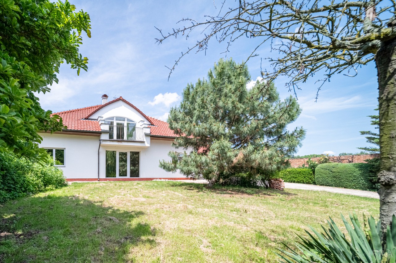 čelní pohled [1/56]